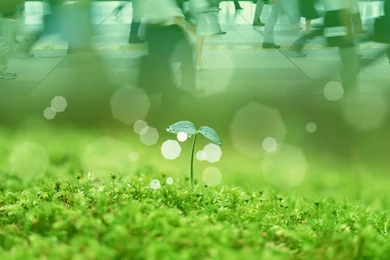 Photo Manipulation Of Eco City, Photo Manipulation Of Green ...