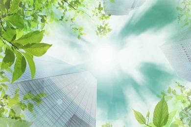 HD Wallpapers ≫ 3D / Art ≫ Eco Green