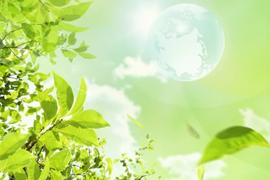 Eco Concept And Photo Manipulation Of Environment And Nature ...