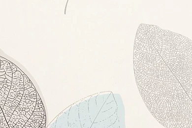 Eco Wallpapers Rasch Sensual 2015 Wallpapers 398847 Nature White ...