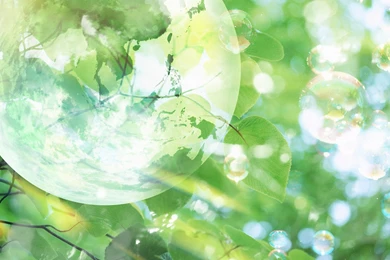 Eco Concept And Photo Manipulation Of Environment And Nature ...