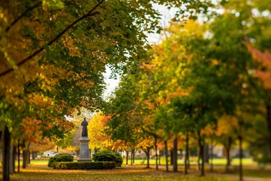 Notre Dame Photography