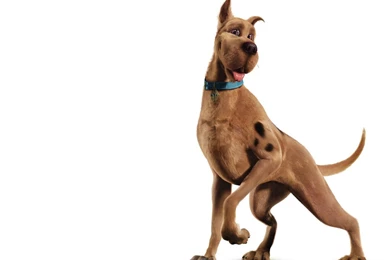 Scooby Doo Mystery Incorporated Characters HD Wallpapers Image For ...