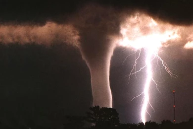 The Coltons Point Times: What Weird Weather   Weird Is Now The Norm!