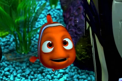 The Weather Channel. Or The Guys Who Cry Wolf. Weekly ...