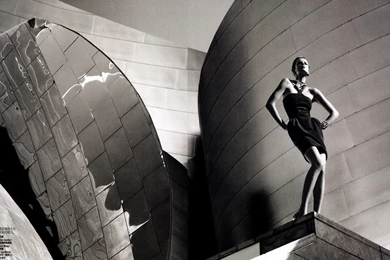 Amazing Set Of Fashionable Beauty HD Wallpapers Set   1 ...