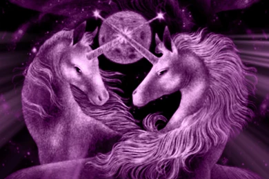 Download Free HQ Unicorn Wallpapers   Hqwallbase.pw