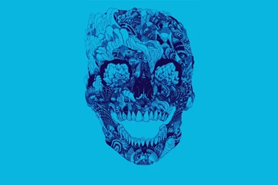 Download Wallpapers, Download 2560x1440 Skulls Indie 1920x1080 ...