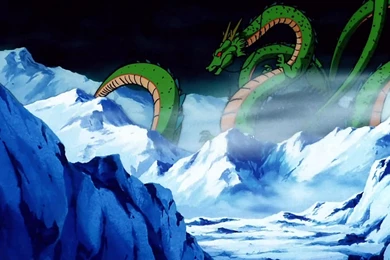 List Of Wishes Granted By Shenron   Dragon Ball Wiki   Wikia