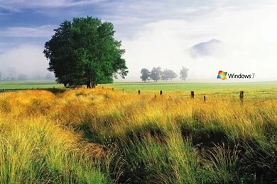 Home Windows 7 Desktop HD Wallpapers HD Images New