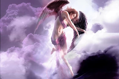 BEAUTIFUL ANGEL WALLPAPER   (