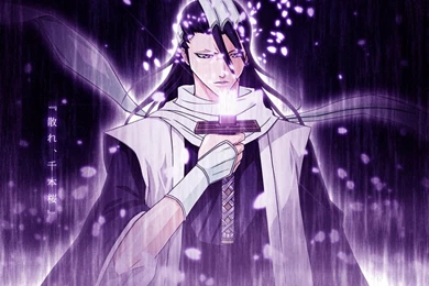 Byakuya Wallpapers   Wallpapers Cave
