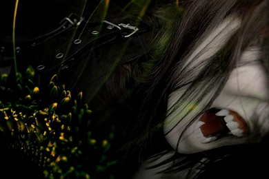 DARK VAMPIRE WALLPAPER   (