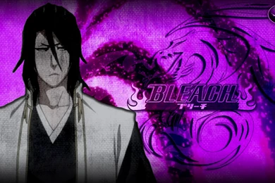 DeviantArt: More Like Kuchiki Byakuya Wallpapers By DEOHVI