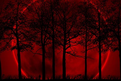 Wallpaper: Trees, Eclipse, Blood, Sky, Night Wallpapers