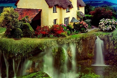 1080x1920 Grass Green Nature Wallpapers HD