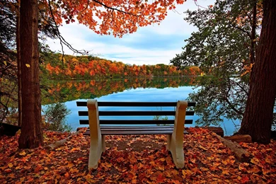 HD Nature Wallpapers 2 – HdCoolWallpapers.Com