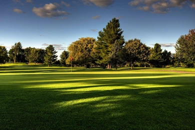 Beautiful Green Landscape Wallpapers Desktop