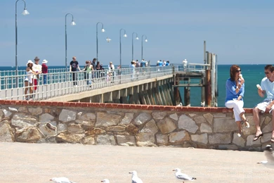 In Store Wallpapers Adelaide 2016   White Brick Wallpapers