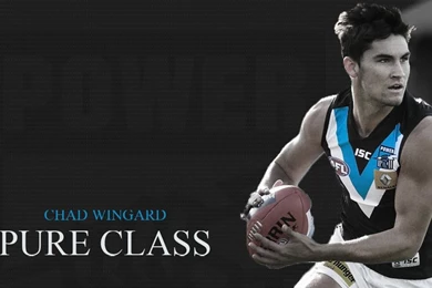 Image   Port Adelaide Wallpapers 6b.jpg   AFL Wiki   Wikia