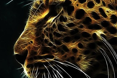 Best Wallpapers For Mobile   Wallpapers Zone