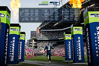 Seattle Seahawk Stadium Backgrounds