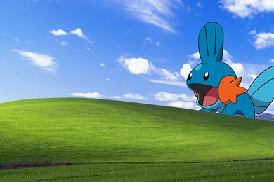 So I Heard You Guys Like Mudkip Wallpapers : Pokemon