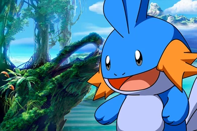 Download Mudkip Wallpapers 1440x900