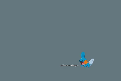 Mudkip Wallpapers Photo By HappyGestapo