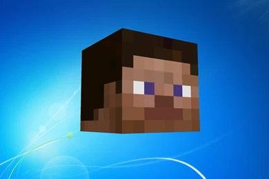 Steve Minecraft Wallpapers 1600x1000