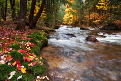 Magnificent New Hampshire Wallpapers