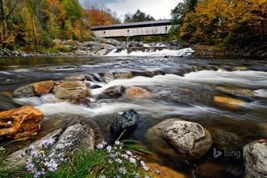 Wild Ammonoosuc River, Bath, New Hampshire