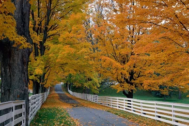 Fall Colors Wallpapers   Download Free Scenic Backroad, New ...