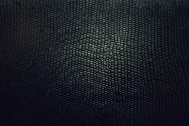 St. Louis Rams Wallpapers Wallpapers