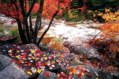 Awesome New Hampshire Wallpapers