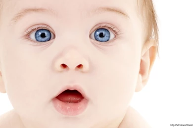 Funny Cuty Baby Boy Playing With Laptop – Windows 10 Wallpapers