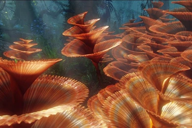 Avatar HD Wallpapers