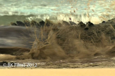 Reptilian Battleground Croc V Turtle   YouTube