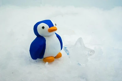 Little Pingu By Miri chiwa On DeviantArt