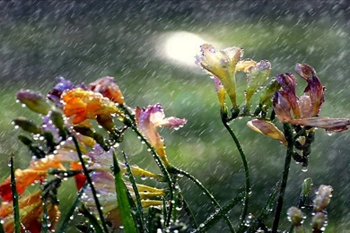 Full Hd Widescreen Wallpapers 1080p HD Widescreen Wallpapers