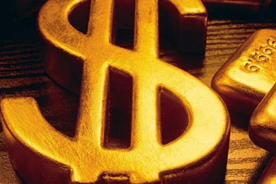 DOLLAR SIGN WALLPAPER   (