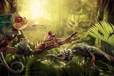 Creative Art Photo Wallpapers : Abstract Other Wallpapers   Timbena.com