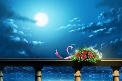 Computer Widescreen Wallpapers New HD Images