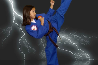 Martial Arts School Staff