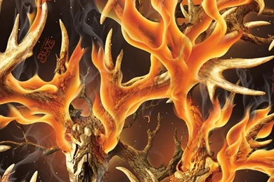 24"x35' Wallpapers   Camo Addiction