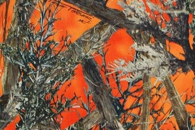 True Timber MC2 Orange Spandex Camo