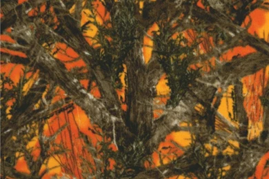 The Gallery For   > Realtree Camo Wallpapers