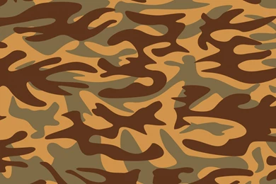 8 Awesome HD Camouflage Wallpapers   HDWallSource.com