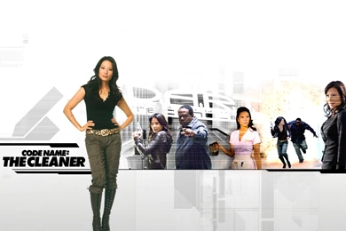 Lucy Liu   Lucy Liu In Code Name: The Cleaner Wallpapers 4 800x600