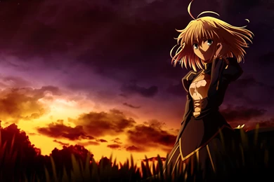 Saber   Saber (Arthuria Pendragon) Funclub Wallpapers (37039087 ...